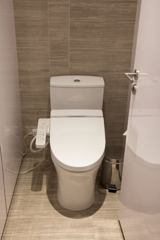 Modern Toilet and Bidet Setup